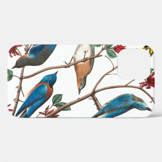 Townses Warbler by John James Audubon Case-Mate iPhoneケース (裏面 (横))