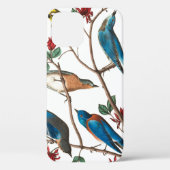 Townses Warbler by John James Audubon Case-Mate iPhoneケース (裏面)