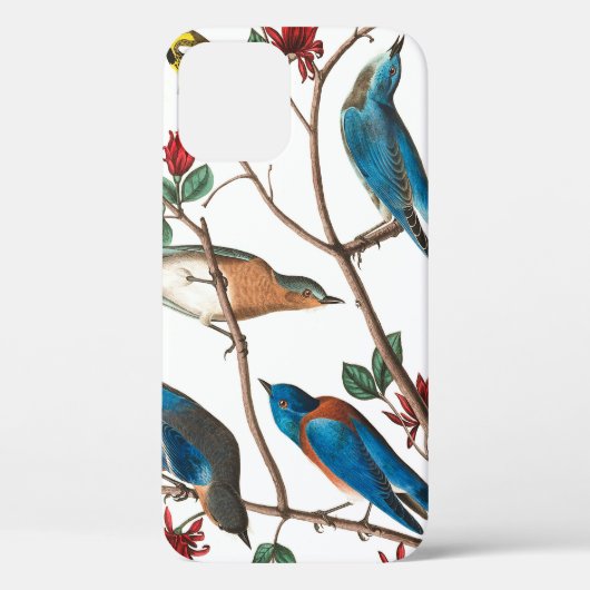 Townses Warbler by John James Audubon Case-Mate iPhoneケース (裏面)