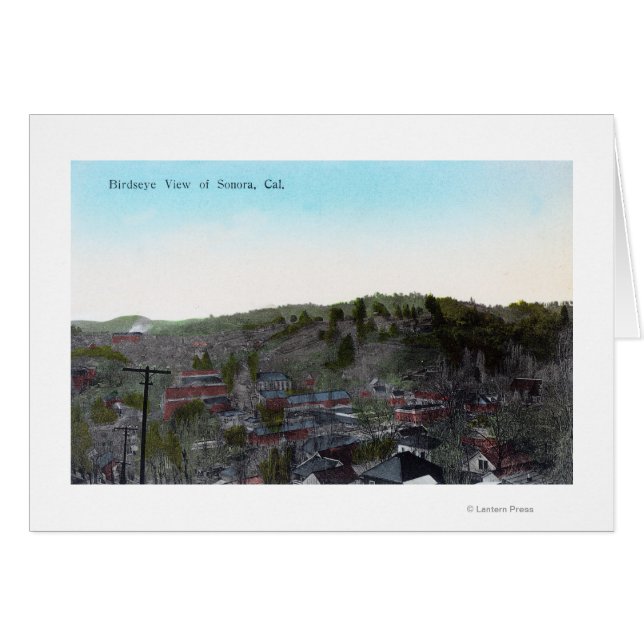 TownSonoraの空中表示（カリフォルニア州） (正面横)