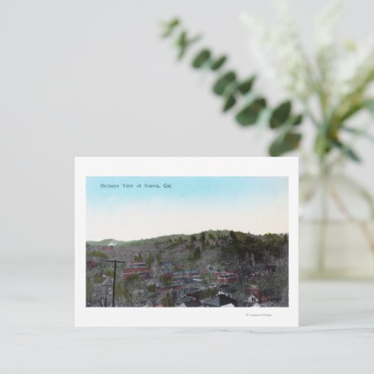 TownSonoraの空中表示(カリフォルニア州) ポストカード (スタンド正面)