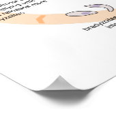 Toxoplasma gondiiのポスターダイアグラムのライフサイクル ポスター (角)