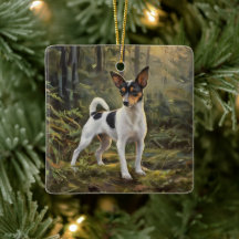 Toy Fox Terrier