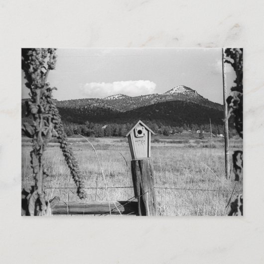 TRブルーバードハウス ポストカード (正面)