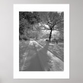 Tracks in the Snow: Cheshire ポスター (正面)