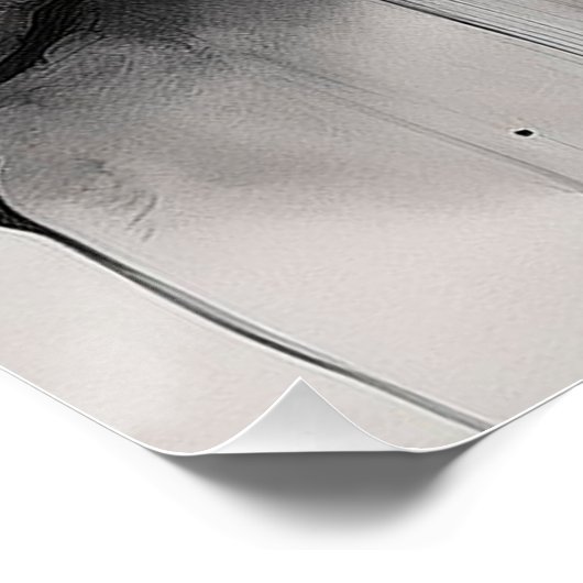 Traços ポスター (コーナー)