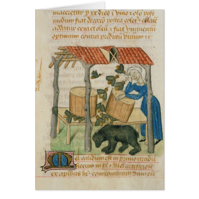 Tractatus de Herbis' (正面)