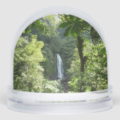 Trafalgar Falls Tropical Rainforest Photography (正面)