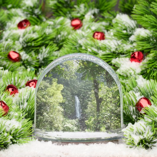 Trafalgar Falls Tropical Rainforest Photography (クリスマス)