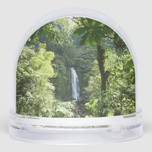 Trafalgar Falls Tropical Rainforest Photography (裏面)