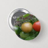 Traffic Light Tomatesボタン 缶バッジ (正面&裏面)