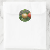 Traffic Light Tomatoesスタンプ ラウンドシール (バッグ)