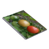 Traffic Light Tomatoesノートブック ノートブック (右側)