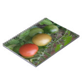 Traffic Light Tomatoesノートブック ノートブック (左側)