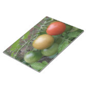 Traffic Light Tomatoesメモ帳 ノートパッド (アングル)