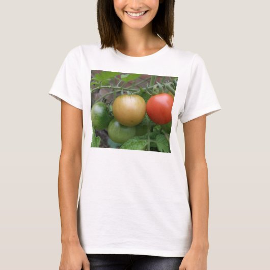 Traffic Light TomattomatesレディースTシャツ Tシャツ (正面)