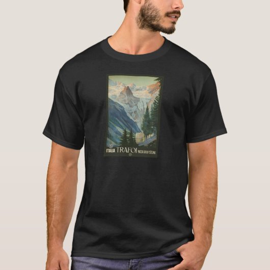 Trafoi Passoのdello Stelvio Tシャツ (正面)