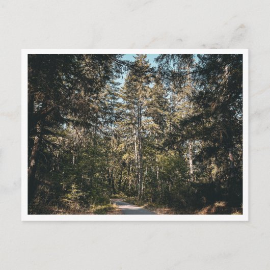 Trail ポストカード (正面)