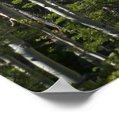 Trail to Alberta Falls ポスター (角)