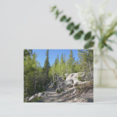 Trail to Alberta Falls ポストカード (スタンド正面)