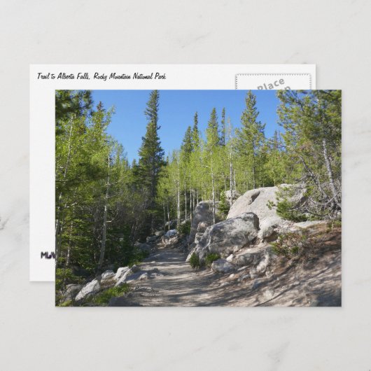Trail to Alberta Falls ポストカード (正面/裏面)