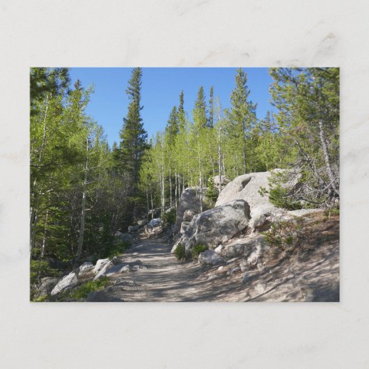 Trail to Alberta Falls ポストカード (正面)