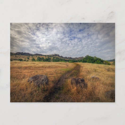 Trailhead, Upper Bidwell Park, Chico, Ca ポストカード (正面)