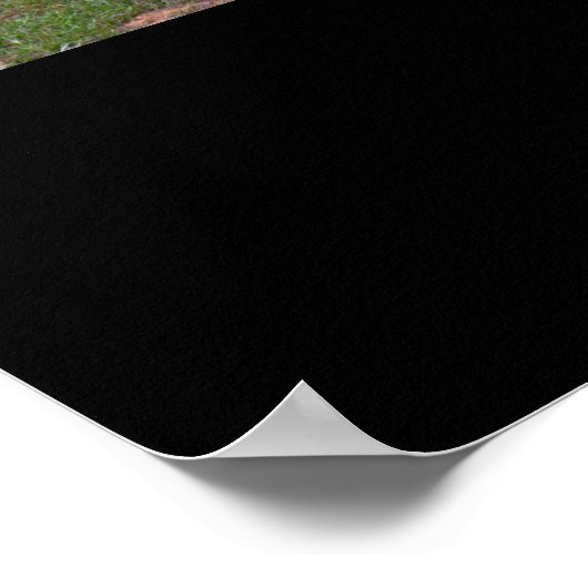 TRAILS Demotivationalポスター ポスター (角)