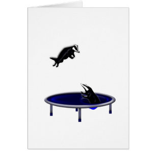 trampoliningアナグマ