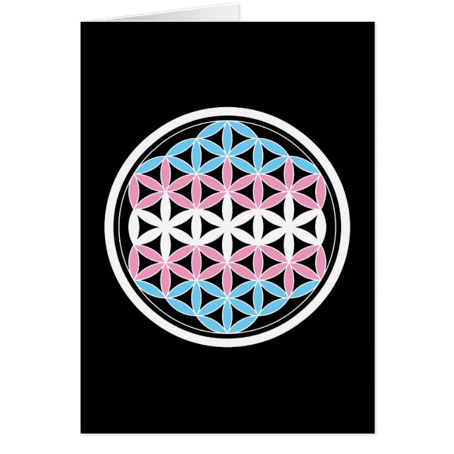 tran聖幾何学 (正面)