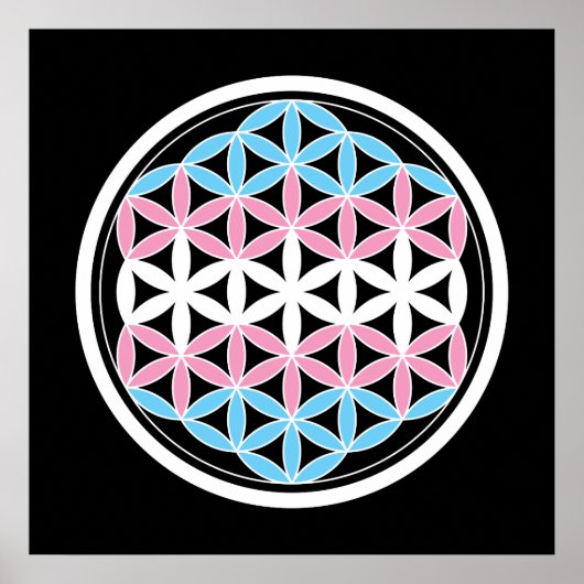 tran聖幾何学 ポスター (正面)