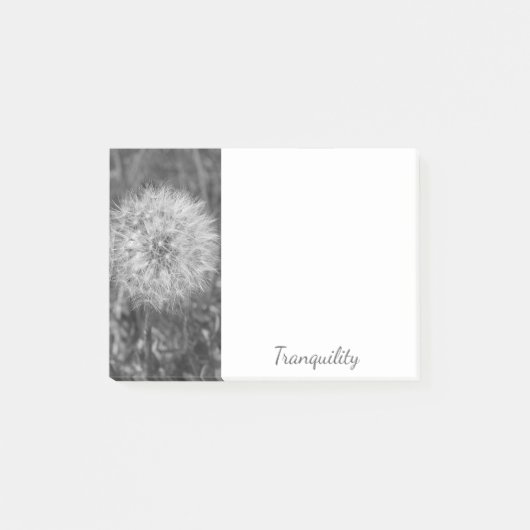Tranquil Black & White Puff Post-It Notes ポストイット (正面)