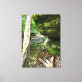 Tranquil Forest Canvas Print | Real Landscape キャンバスプリント (正面)