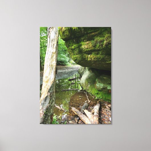 Tranquil Forest Canvas Print | Real Landscape キャンバスプリント (正面)