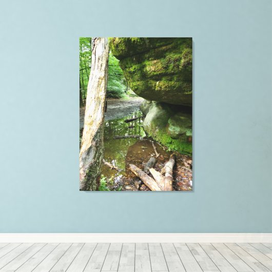 Tranquil Forest Canvas Print | Real Landscape キャンバスプリント (インサイチュ (ウッドフロア))
