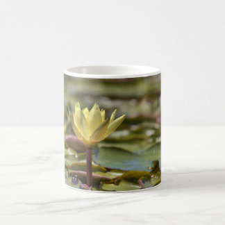 Tranquil Water Lily Coffee Mug – Nature Photograph コーヒーマグカップ