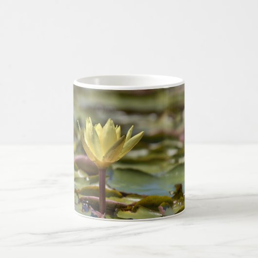 Tranquil Water Lily Coffee Mug – Nature Photograph コーヒーマグカップ (中央)