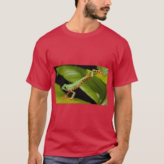 Tranquysemv Calm Vibes Tee Tシャツ (正面)