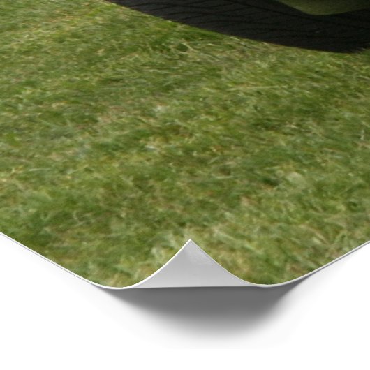 Trans Am ポスター (角)