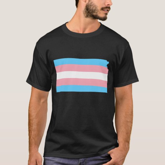 Trans Flag Kansas LGBT Pride Support retro Tシャツ (正面)