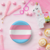 trans paper plate party decor ペーパーボウル (パーティー)