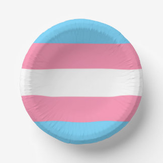 trans paper plate party decor ペーパーボウル