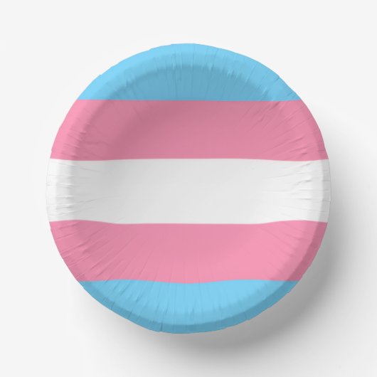 trans paper plate party decor ペーパーボウル (正面)