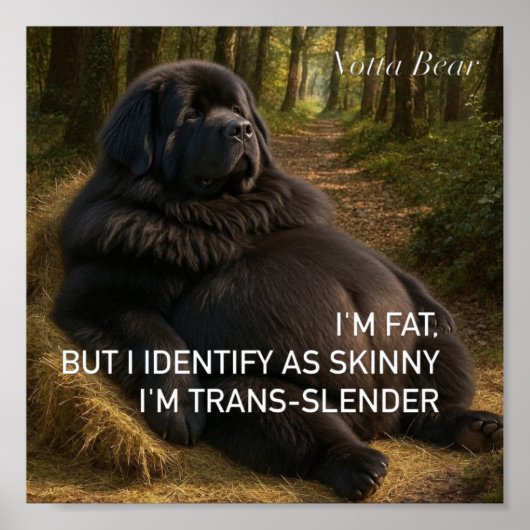 Trans-slender  ポスター (正面)