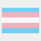 Transgender Flag ラッピングペーパーシート (正面2)