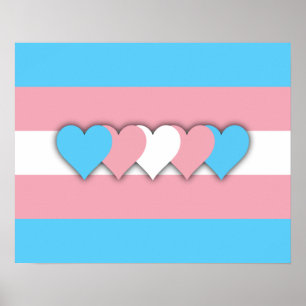Transgender flag Poster ポスター
