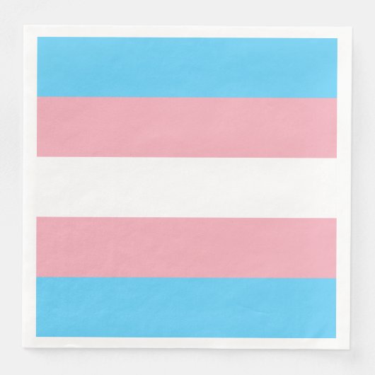 transgender flag trans lgbt lgbtq gay lesbian homo (正面)
