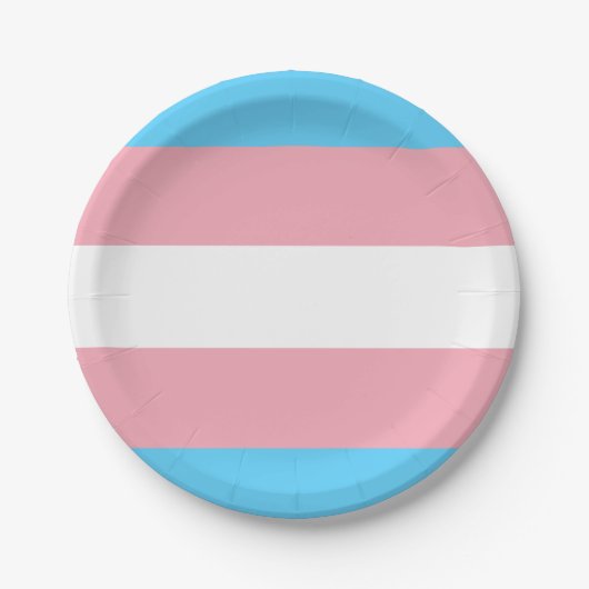 Transgender Flagge ペーパープレート (正面)