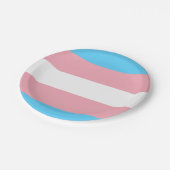 Transgender Flagge ペーパープレート (アングル)