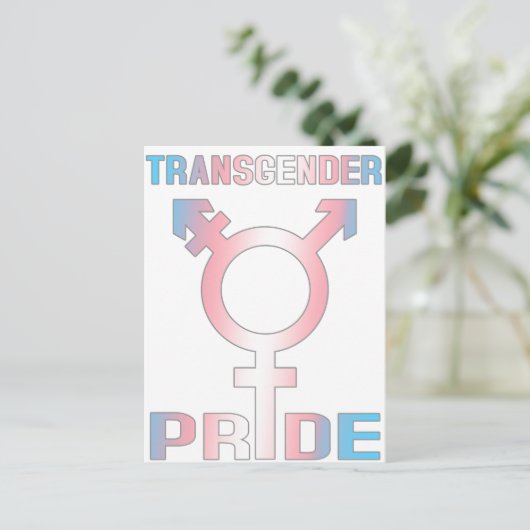 Transgender Pride ポストカード (スタンド正面)